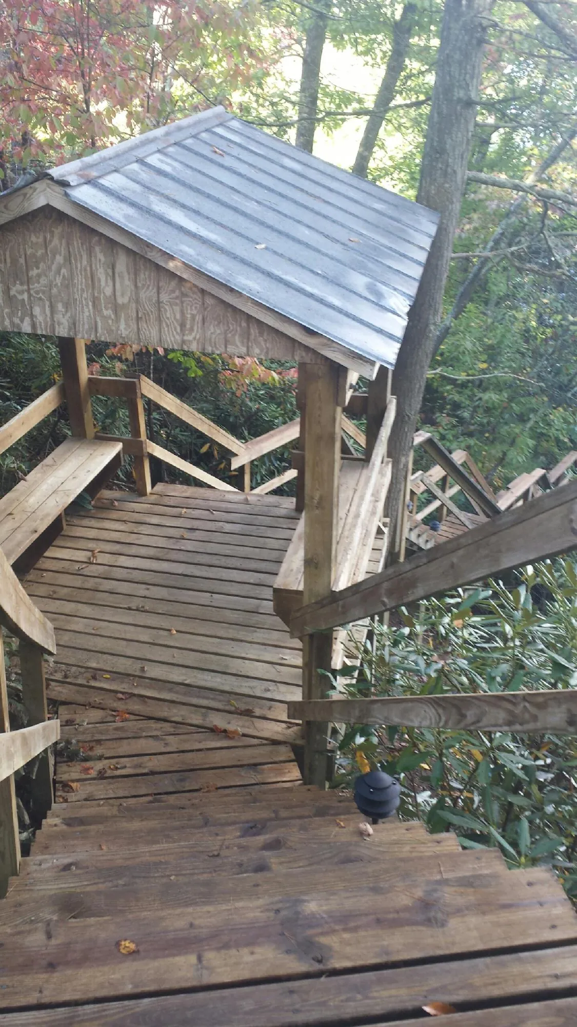 Metal roofed shelter over wooden steps on a wooded walkway — Skylight Repair & Installation work by our crew in Caledonia
