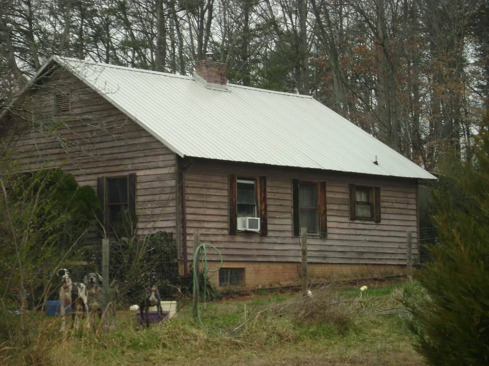 White metal roof on an old wood sided farmhouse, from a Metal Roof Installation job in Caledonia